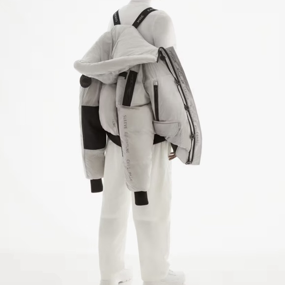 Canada goose chilliwack - Picture 1 of 5